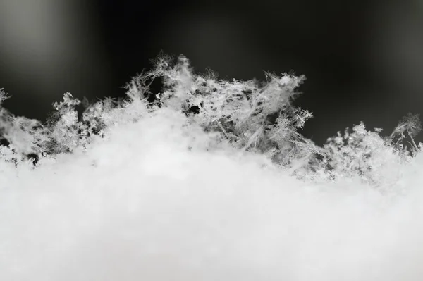 Floco de neve na neve branca — Fotografia de Stock