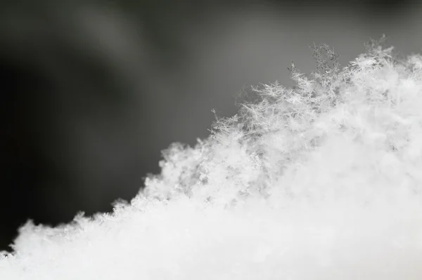 Fiocco di neve nella neve bianca — Foto Stock