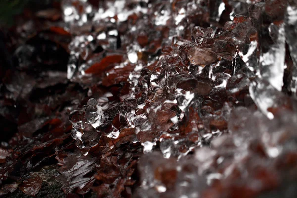 Ice macro — Stock Photo, Image