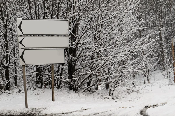 Bosque de nieve — Foto de Stock