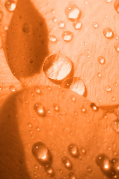 Gotas de agua — Foto de Stock