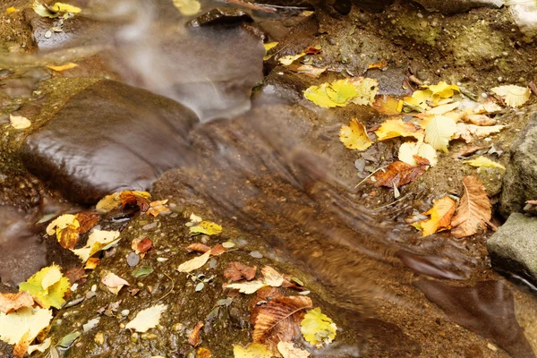 Lago en otoño —  Fotos de Stock