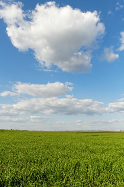 Doğa