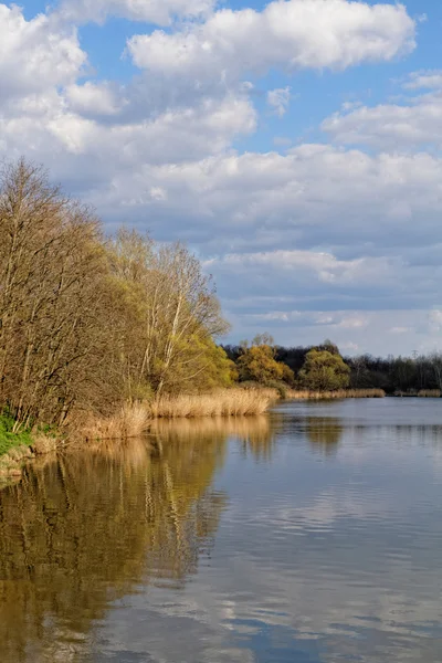 Naturen – stockfoto