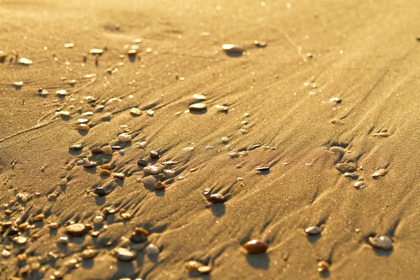 Sandy beach — Stock Photo, Image