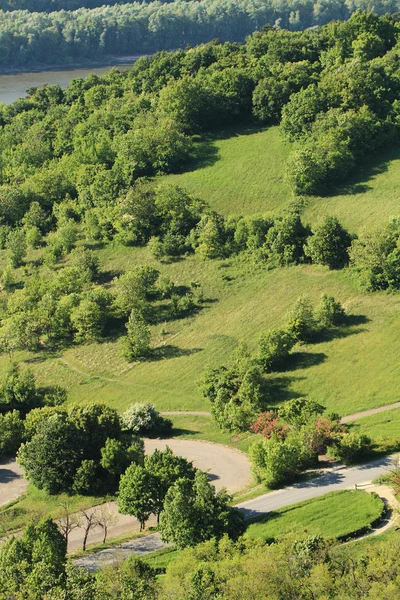 Grønn lansering – stockfoto