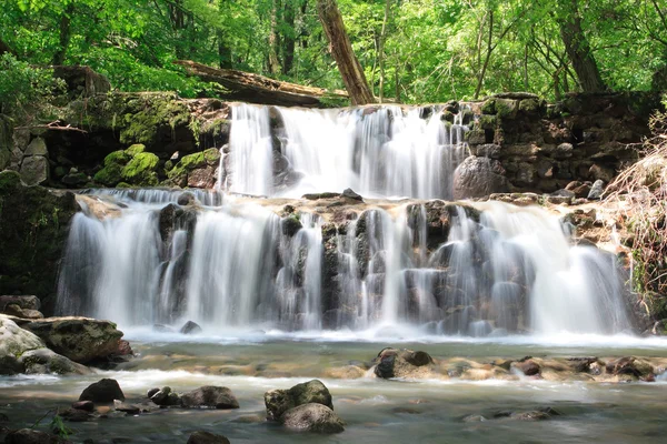 Cachoeira na floresta — Fotografia de Stock