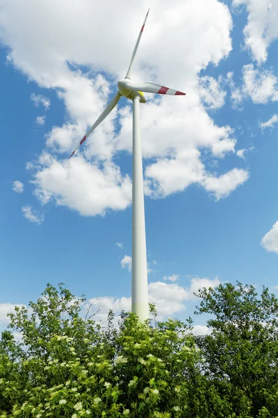 Väderkvarn — Stockfoto