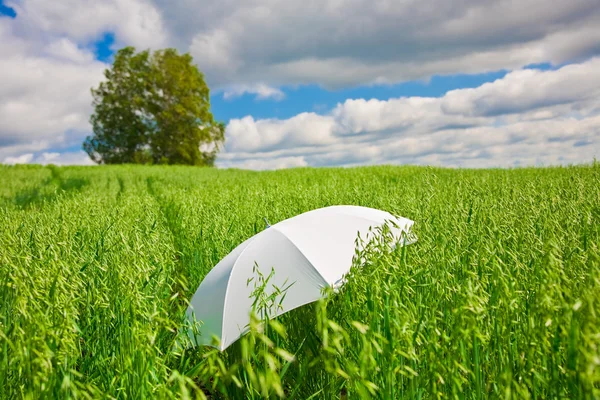 White umbrella — Stock Photo, Image