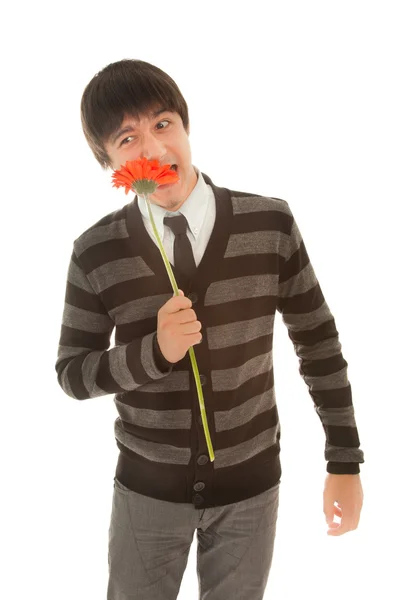 Homme avec gerbera rouge debout sur le fond blanc — Photo