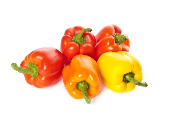 Πολλή πολύχρωμους πιπέρι — Φωτογραφία Αρχείου