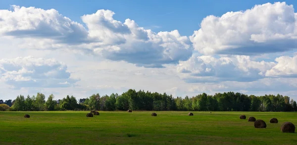 Paisaje —  Fotos de Stock