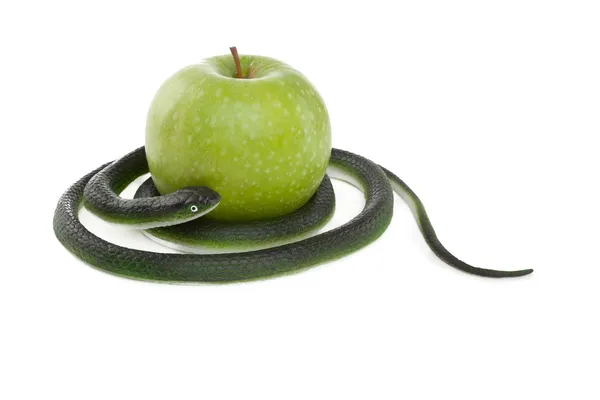 Snake coiling around a green apple — Stock Photo, Image