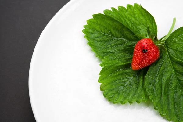 Strawberry with leaves on the white plate — Stock Photo, Image