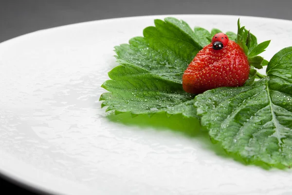 Jordgubbar med blad på den vita plattan — Stockfoto