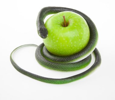Snake coiling around an apple on a white clipart