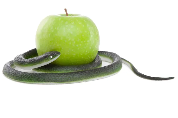 Snake coiling around an apple on a white — Stock Photo, Image