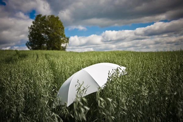 An umbrella — Stock Photo, Image