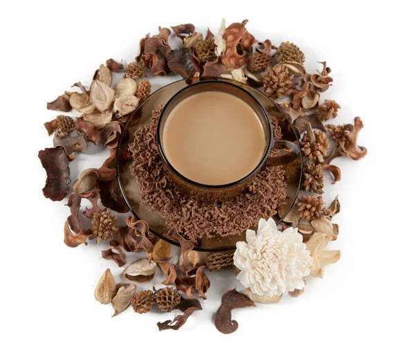 En kopp kaffe, riven choklad och EVIGHETSBLOMMA — Stockfoto