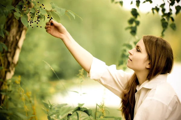 Woman picking chokecherries — Stock Photo, Image