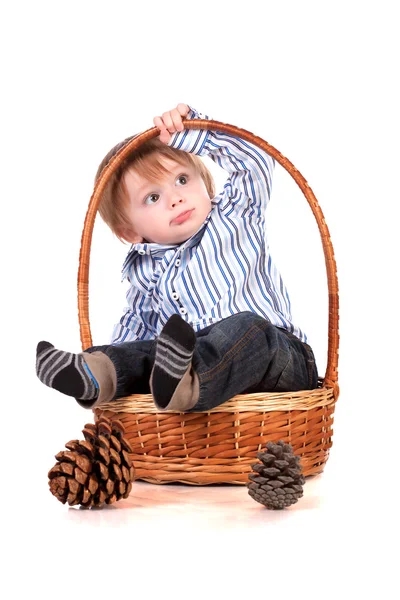 Baby in a basket isolated on a white background — Stock Photo, Image