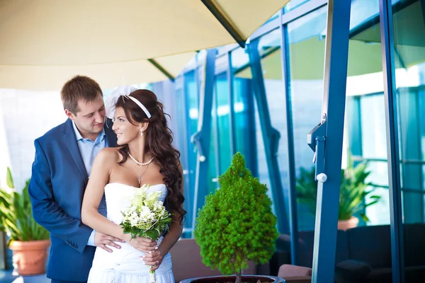 Bride and groom is hugging near the glass wall — Stock Photo, Image