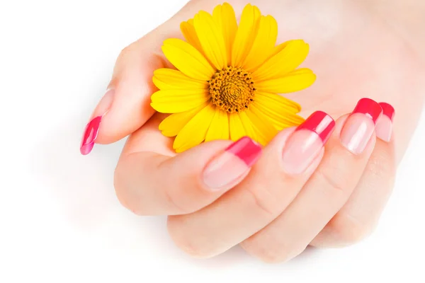 Kobieta ręka z różowym manicure — Zdjęcie stockowe