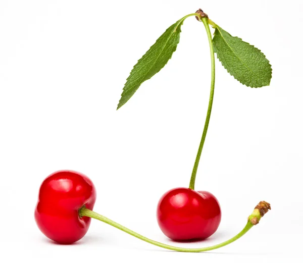 Two red cherryes — Stock Photo, Image