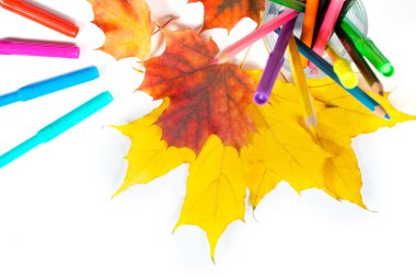 işaretleri ve sarı yapraklar üzerinde beyaz