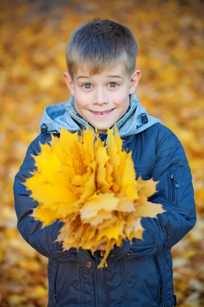 Niño feliz sobre un fondo de hojas de otoño —  Fotos de Stock