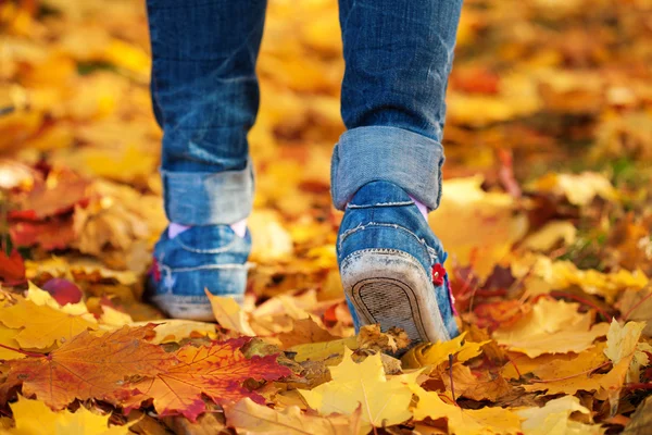 Kadının ayakları üzerinde sarı sonbahar yaprakları arka plan — Stok fotoğraf