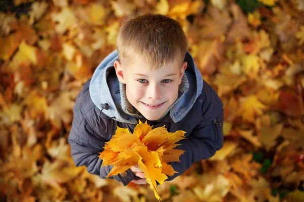 Happy kid på en bakgrund av hösten leafs. ovanifrån — Stockfoto