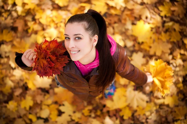 Menina bonita em um fundo de folhas de outono. vista superior — Fotografia de Stock