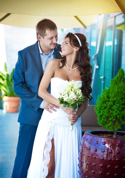 Bride and groom are hugging near the glass wall — Stock Photo, Image