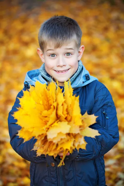 Lycklig pojke på en bakgrund av gula hösten leafs — Stockfoto