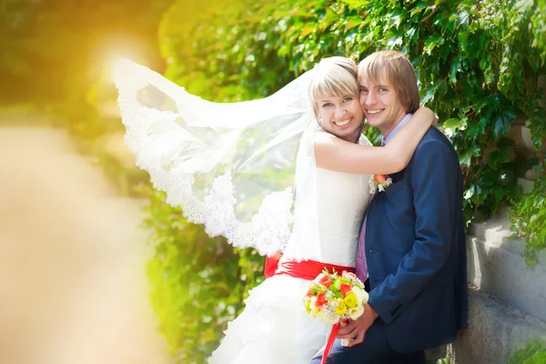 Счастливые жених и невеста обнимаются в зеленом парке — стоковое фото