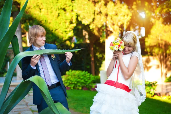 Casal feliz em um parque de verão ensolarado — Fotografia de Stock
