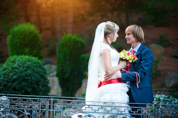 Šťastný ženich a nevěsta si pusu v zeleném parku — Stock fotografie