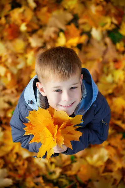 Criança em um contexto de folhas de outono. vista superior — Fotografia de Stock
