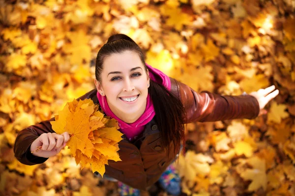 Cute girl on a background of autumn leafs. top view — Stock Photo, Image