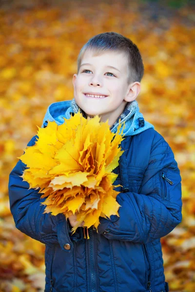 Gelukkige jongen op een achtergrond van de herfst bladeren — Stockfoto