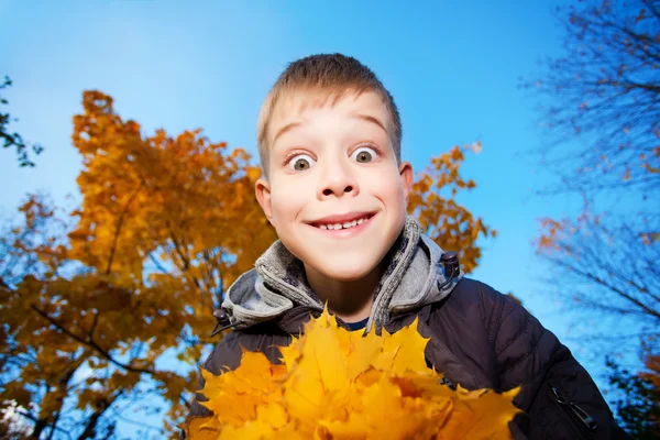 Arka plan gökyüzü ve sonbaharda ağaçların üzerinde neşeli çocuk — Stok fotoğraf