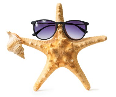 Dekoratif denizyıldızı beyaz bitti izole