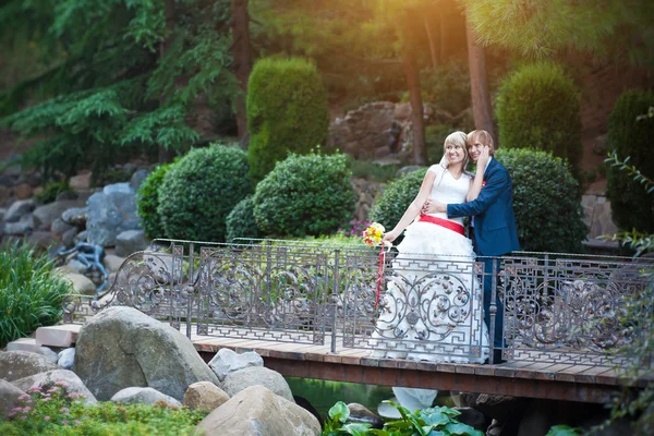 Feliz recém-casados estão abraçando no parque verde — Fotografia de Stock