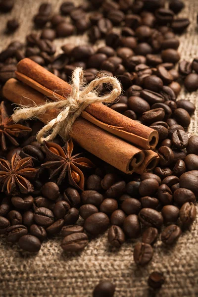 Rolos de canela com grãos de café torrados. macro — Fotografia de Stock