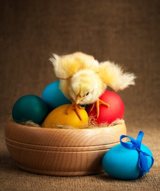 Paskalya yumurtaları sarı küçük hatunla