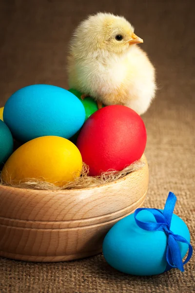 Pintainho pequeno bonito com ovos de Páscoa — Fotografia de Stock