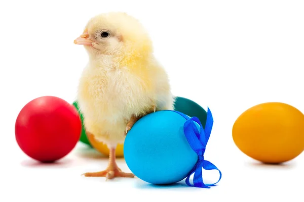 Malé žluté kuřátko s velikonoční vajíčka. samostatný — Stock fotografie