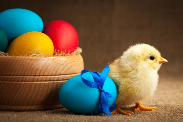 Niedliches kleines Küken mit Ostereiern — Stockfoto