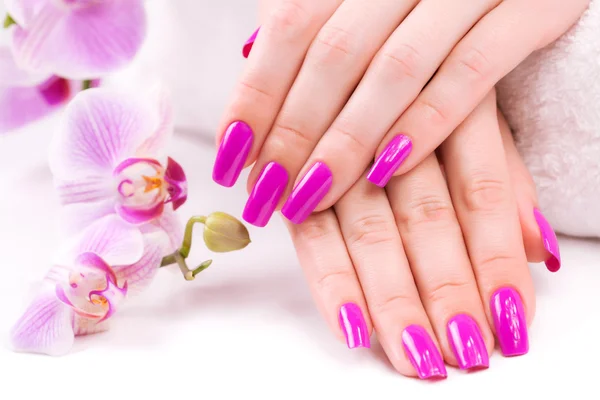 Manicure with fragrant orchid — Stock Photo, Image